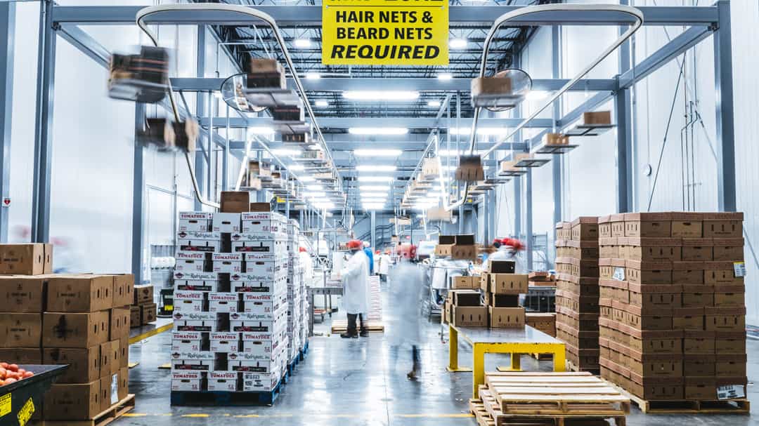 Castellini Company supply chain analysts working with inventory in Midwest hub